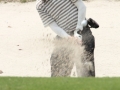 19th-FSICA-Golf-Competition-01-043